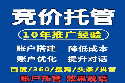 搜索引擎营销（SEM）在电商行业的投放策略案例